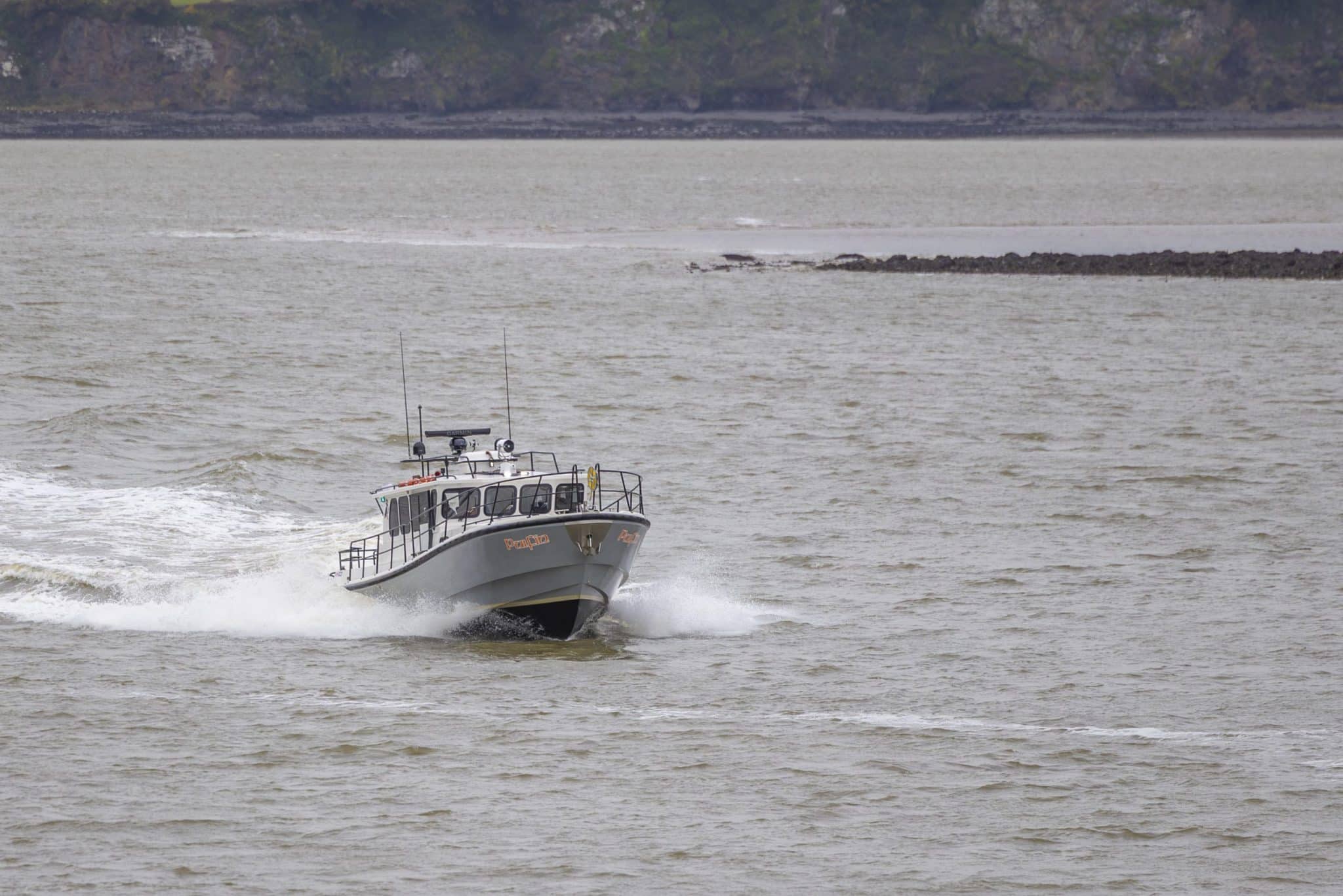 Guests enjoying a Puifin coastal cruise
