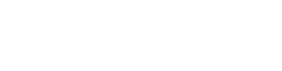 Irish Whale and Dolphin Group