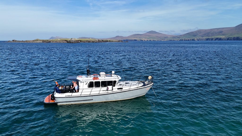Puifín on deep blue water with the long ridge of the Dingle Peninsula stretching behind her